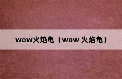 wow火焰龟（wow 火焰龟）